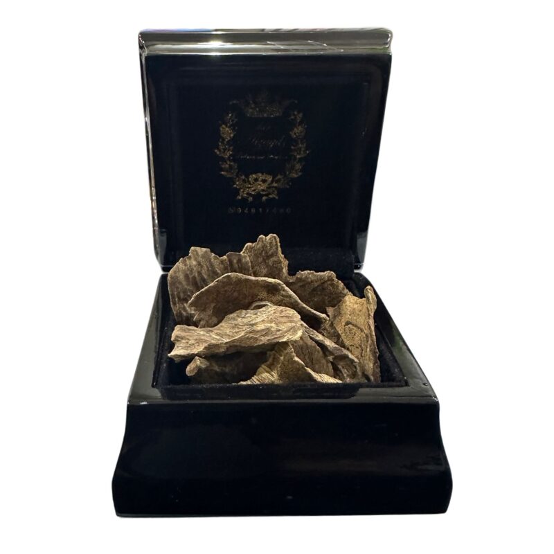 سيلاني قديم مخزن